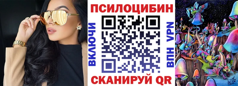 закладка  Медвежьегорск  Псилоцибиновые грибы мицелий 